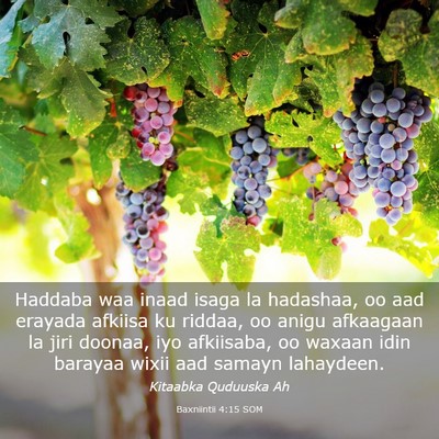 Picture 03 - Baxniintii 4:15 SOM - Haddaba waa inaad isaga la hadashaa, oo aad - Bible Verse Picture