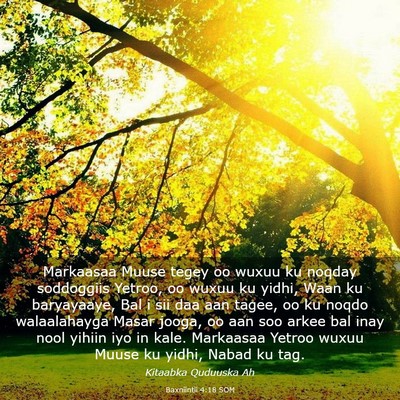 Picture 03 - Baxniintii 4:18 SOM - Markaasaa Muuse tegey oo wuxuu ku noqday - Bible Verse Picture