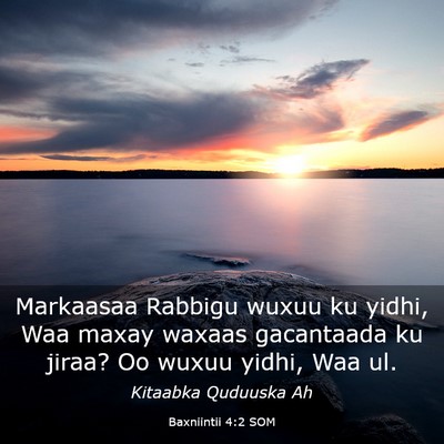 Picture 03 - Baxniintii 4:2 SOM - Markaasaa Rabbigu wuxuu ku yidhi, Waa maxay - Bible Verse Picture