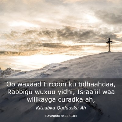 Picture 03 - Baxniintii 4:22 SOM - Oo waxaad Fircoon ku tidhaahdaa, Rabbigu wuxuu - Bible Verse Picture