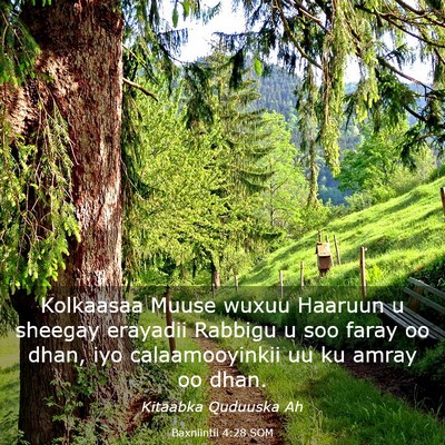 Picture 03 - Baxniintii 4:28 SOM - Kolkaasaa Muuse wuxuu Haaruun u sheegay erayadii - Bible Verse Picture