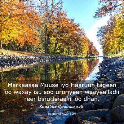 Picture 03 - Baxniintii 4:29 SOM - Markaasaa Muuse iyo Haaruun tageen oo waxay isu - Bible Verse Picture