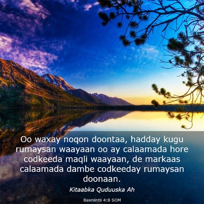 Picture 03 - Baxniintii 4:8 SOM - Oo waxay noqon doontaa, hadday kugu rumaysan - Bible Verse Picture