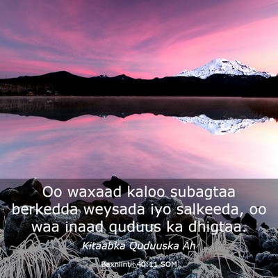 Picture 03 - Baxniintii 40:11 SOM - Oo waxaad kaloo subagtaa berkedda weysada iyo - Bible Verse Picture
