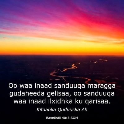 Picture 03 - Baxniintii 40:3 SOM - Oo waa inaad sanduuqa maragga gudaheeda gelisaa, - Bible Verse Picture