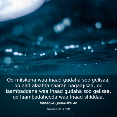 Picture 03 - Baxniintii 40:4 SOM - Oo miiskana waa inaad gudaha soo gelisaa, oo aad - Bible Verse Picture
