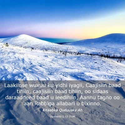 Picture 03 - Baxniintii 5:17 SOM - Laakiinse wuxuu ku yidhi iyagii, Caajisiin baad - Bible Verse Picture