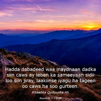 Picture 03 - Baxniintii 5:7 SOM - Hadda dabadeed waa inaydnaan dadka siin caws ay - Bible Verse Picture