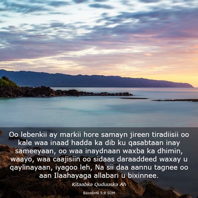 Picture 03 - Baxniintii 5:8 SOM - Oo lebenkii ay markii hore samayn jireen - Bible Verse Picture