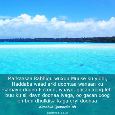 Picture 03 - Baxniintii 6:1 SOM - Markaasaa Rabbigu wuxuu Muuse ku yidhi, Haddaba - Bible Verse Picture