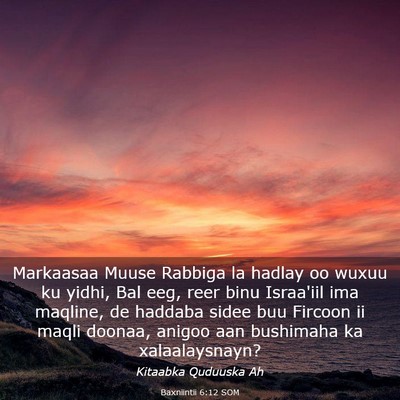 Picture 03 - Baxniintii 6:12 SOM - Markaasaa Muuse Rabbiga la hadlay oo wuxuu ku - Bible Verse Picture