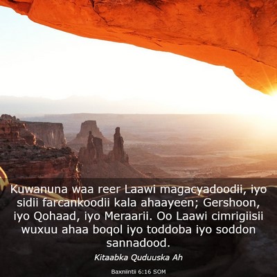 Picture 03 - Baxniintii 6:16 SOM - Kuwanuna waa reer Laawi magacyadoodii, iyo sidii - Bible Verse Picture