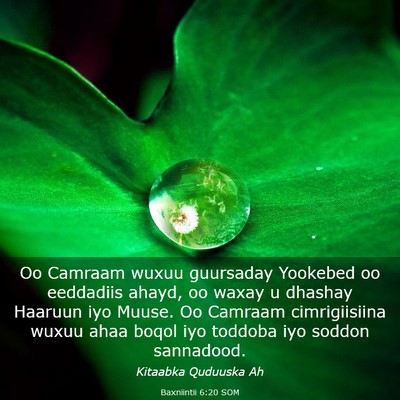 Picture 03 - Baxniintii 6:20 SOM - Oo Camraam wuxuu guursaday Yookebed oo eeddadiis - Bible Verse Picture