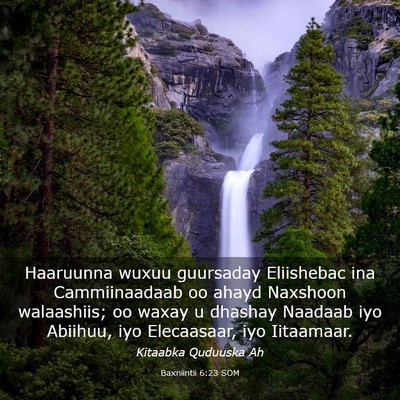 Picture 03 - Baxniintii 6:23 SOM - Haaruunna wuxuu guursaday Eliishebac ina - Bible Verse Picture