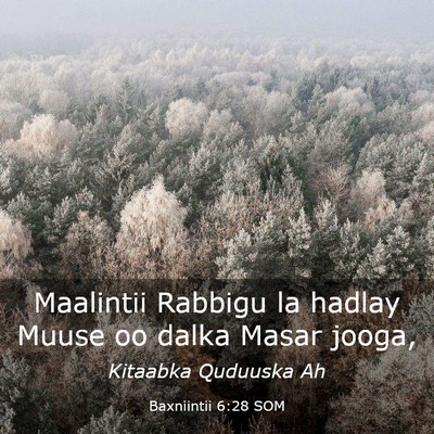 Picture 03 - Baxniintii 6:28 SOM - Maalintii Rabbigu la hadlay Muuse oo dalka Masar - Bible Verse Picture