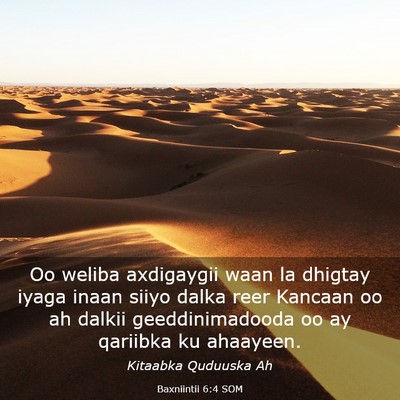 Picture 03 - Baxniintii 6:4 SOM - Oo weliba axdigaygii waan la dhigtay iyaga inaan - Bible Verse Picture