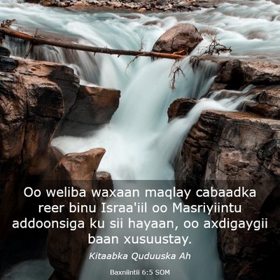 Picture 03 - Baxniintii 6:5 SOM - Oo weliba waxaan maqlay cabaadka reer binu - Bible Verse Picture