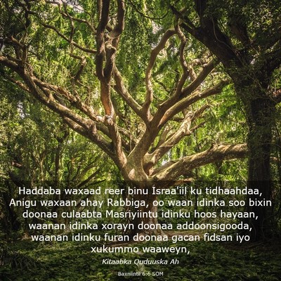 Picture 03 - Baxniintii 6:6 SOM - Haddaba waxaad reer binu Israa'iil ku tidhaahdaa, - Bible Verse Picture