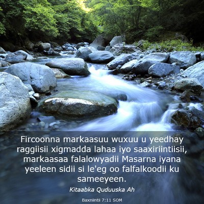 Picture 03 - Baxniintii 7:11 SOM - Fircoonna markaasuu wuxuu u yeedhay raggiisii - Bible Verse Picture