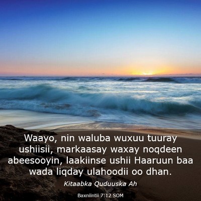Picture 03 - Baxniintii 7:12 SOM - Waayo, nin waluba wuxuu tuuray ushiisii, - Bible Verse Picture