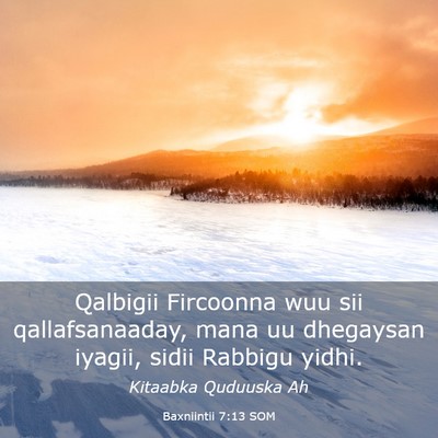 Picture 03 - Baxniintii 7:13 SOM - Qalbigii Fircoonna wuu sii qallafsanaaday, mana - Bible Verse Picture