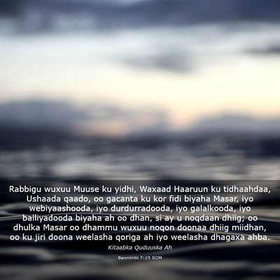Picture 03 - Baxniintii 7:19 SOM - Rabbigu wuxuu Muuse ku yidhi, Waxaad Haaruun ku - Bible Verse Picture