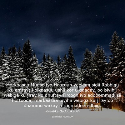 Picture 03 - Baxniintii 7:20 SOM - Markaasaa Muuse iyo Haaruun yeeleen sidii Rabbigu - Bible Verse Picture