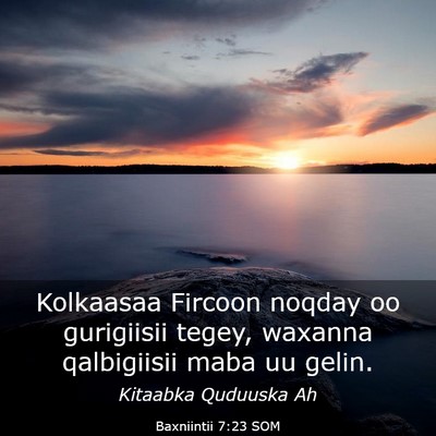 Picture 03 - Baxniintii 7:23 SOM - Kolkaasaa Fircoon noqday oo gurigiisii tegey, - Bible Verse Picture
