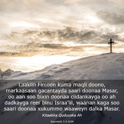 Picture 03 - Baxniintii 7:4 SOM - Laakiin Fircoon kuma maqli doono, markaasaan - Bible Verse Picture