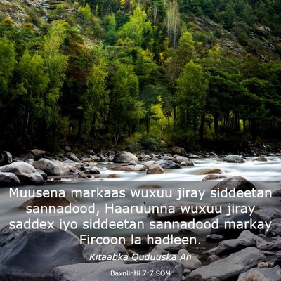 Picture 03 - Baxniintii 7:7 SOM - Muusena markaas wuxuu jiray siddeetan sannadood, - Bible Verse Picture