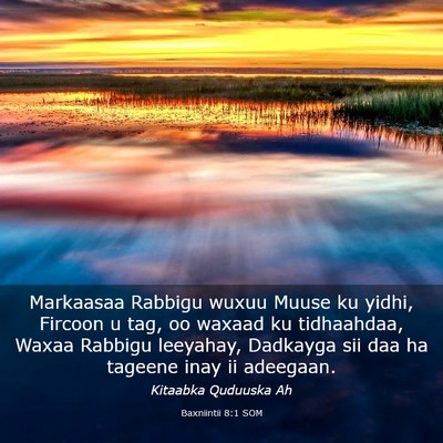 Picture 03 - Baxniintii 8:1 SOM - Markaasaa Rabbigu wuxuu Muuse ku yidhi, Fircoon u - Bible Verse Picture