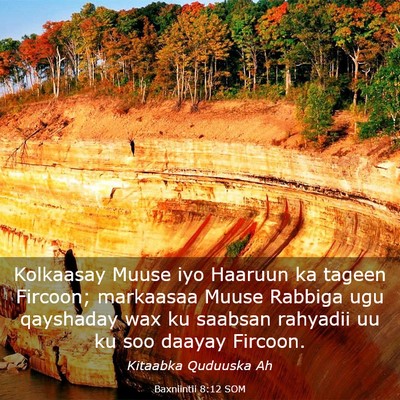 Picture 03 - Baxniintii 8:12 SOM - Kolkaasay Muuse iyo Haaruun ka tageen Fircoon; - Bible Verse Picture