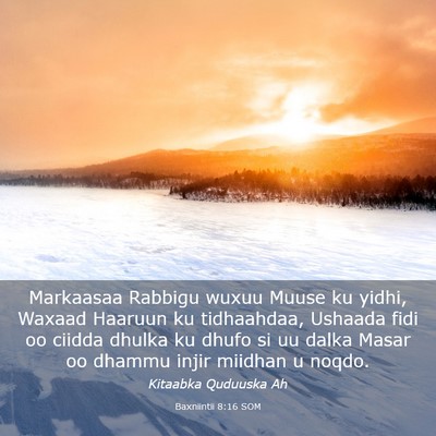 Picture 03 - Baxniintii 8:16 SOM - Markaasaa Rabbigu wuxuu Muuse ku yidhi, Waxaad - Bible Verse Picture