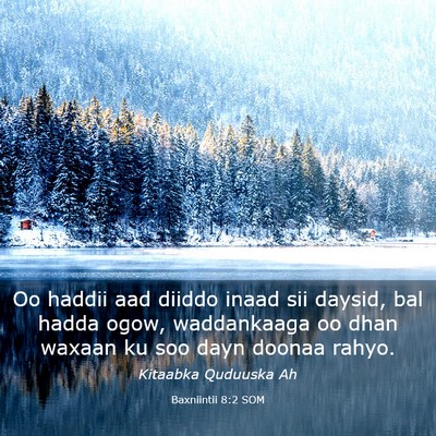 Picture 03 - Baxniintii 8:2 SOM - Oo haddii aad diiddo inaad sii daysid, bal hadda - Bible Verse Picture