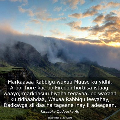 Picture 03 - Baxniintii 8:20 SOM - Markaasaa Rabbigu wuxuu Muuse ku yidhi, Aroor - Bible Verse Picture