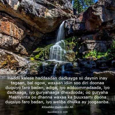 Picture 03 - Baxniintii 8:21 SOM - Haddii kalese haddaadan dadkayga sii daynin inay - Bible Verse Picture