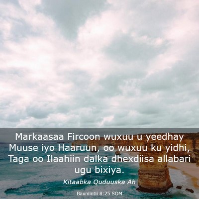 Picture 03 - Baxniintii 8:25 SOM - Markaasaa Fircoon wuxuu u yeedhay Muuse iyo - Bible Verse Picture