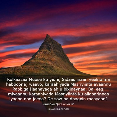 Picture 03 - Baxniintii 8:26 SOM - Kolkaasaa Muuse ku yidhi, Sidaas inaan yeelno ma - Bible Verse Picture