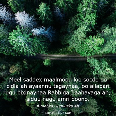 Picture 03 - Baxniintii 8:27 SOM - Meel saddex maalmood loo socdo oo cidla ah - Bible Verse Picture