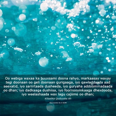 Picture 03 - Baxniintii 8:3 SOM - Oo webiga waxaa ka buuxsami doona rahyo, - Bible Verse Picture