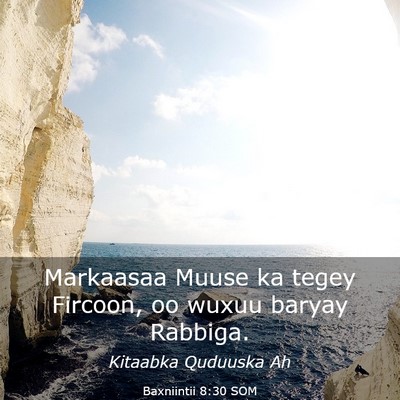 Picture 03 - Baxniintii 8:30 SOM - Markaasaa Muuse ka tegey Fircoon, oo wuxuu baryay - Bible Verse Picture