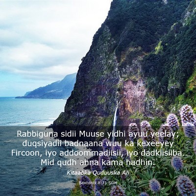 Picture 03 - Baxniintii 8:31 SOM - Rabbiguna sidii Muuse yidhi ayuu yeelay; - Bible Verse Picture