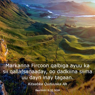 Picture 03 - Baxniintii 8:32 SOM - Markanna Fircoon qalbiga ayuu ka sii - Bible Verse Picture