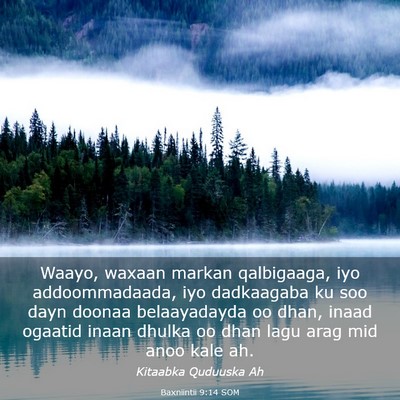 Picture 03 - Baxniintii 9:14 SOM - Waayo, waxaan markan qalbigaaga, iyo - Bible Verse Picture