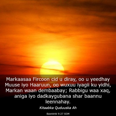 Picture 03 - Baxniintii 9:27 SOM - Markaasaa Fircoon cid u diray, oo u yeedhay Muuse - Bible Verse Picture