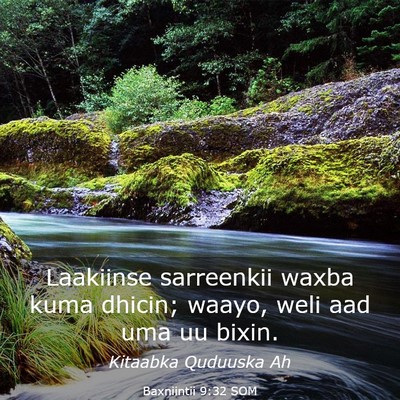 Picture 03 - Baxniintii 9:32 SOM - Laakiinse sarreenkii waxba kuma dhicin; waayo, - Bible Verse Picture