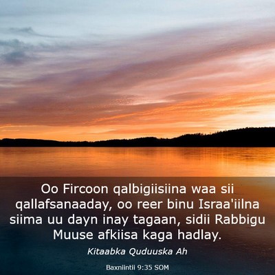 Picture 03 - Baxniintii 9:35 SOM - Oo Fircoon qalbigiisiina waa sii qallafsanaaday, - Bible Verse Picture