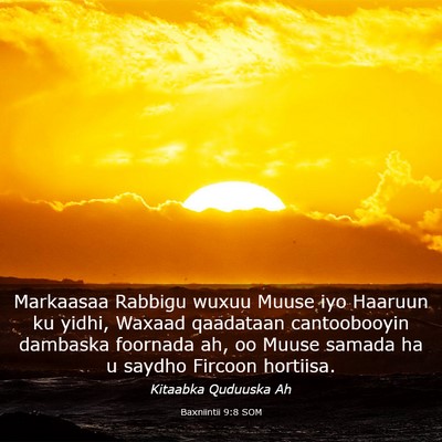 Picture 03 - Baxniintii 9:8 SOM - Markaasaa Rabbigu wuxuu Muuse iyo Haaruun ku - Bible Verse Picture