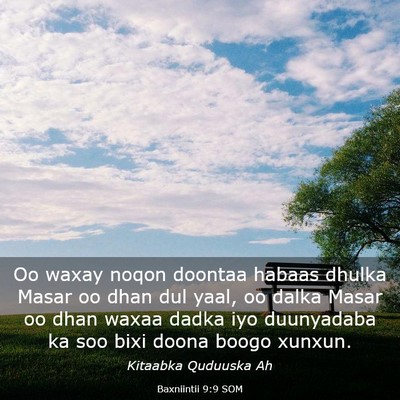 Picture 03 - Baxniintii 9:9 SOM - Oo waxay noqon doontaa habaas dhulka Masar oo - Bible Verse Picture