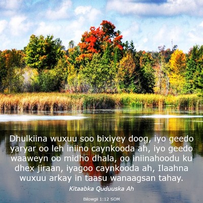 Picture 03 - Bilowgii 1:12 SOM - Dhulkiina wuxuu soo bixiyey doog, iyo geedo - Bible Verse Picture